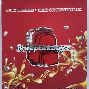 backpack boyz 2g disposable
