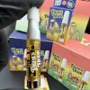 papas herb