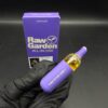 Buy Purple raw garden 2g disposable