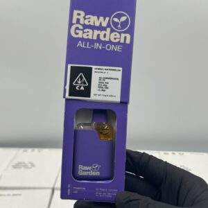 Buy Purple raw garden 2g disposable