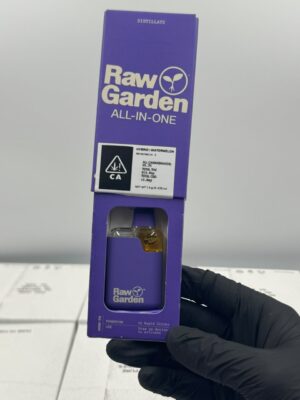 Buy Purple raw garden 2g disposable